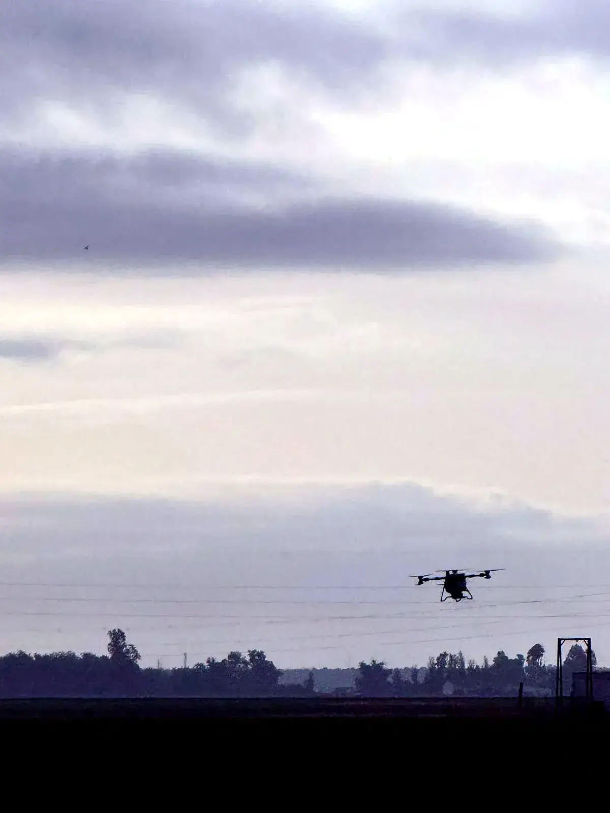 Aplicación de tratamiento con dron agrícola sobre un cultivo extenso
