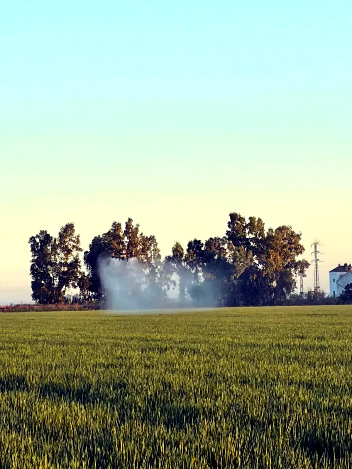 Jornada de fumigación agrícola con dron