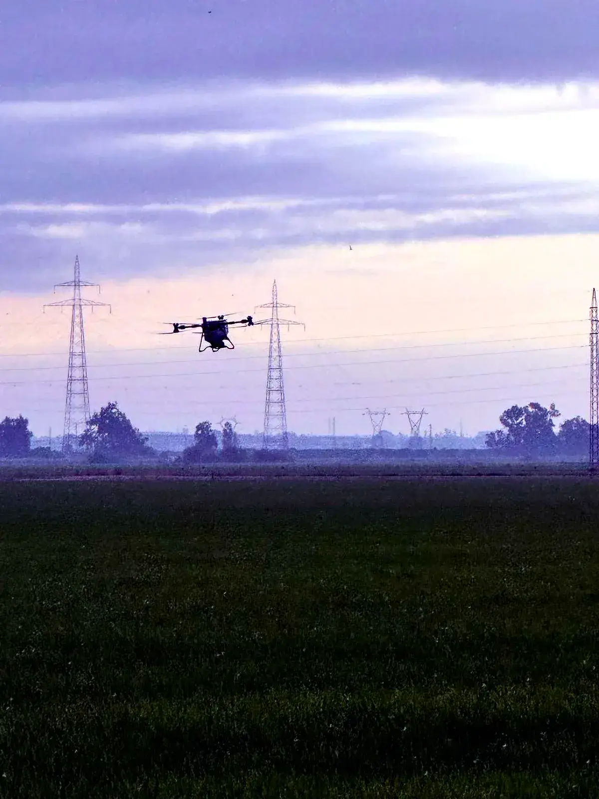 Nebulización de tratamiento fitosanitario con dron junto a arbolado