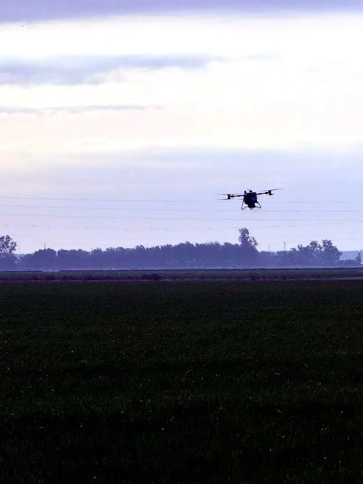 Servicios de drones para la agricultura en Cádiz