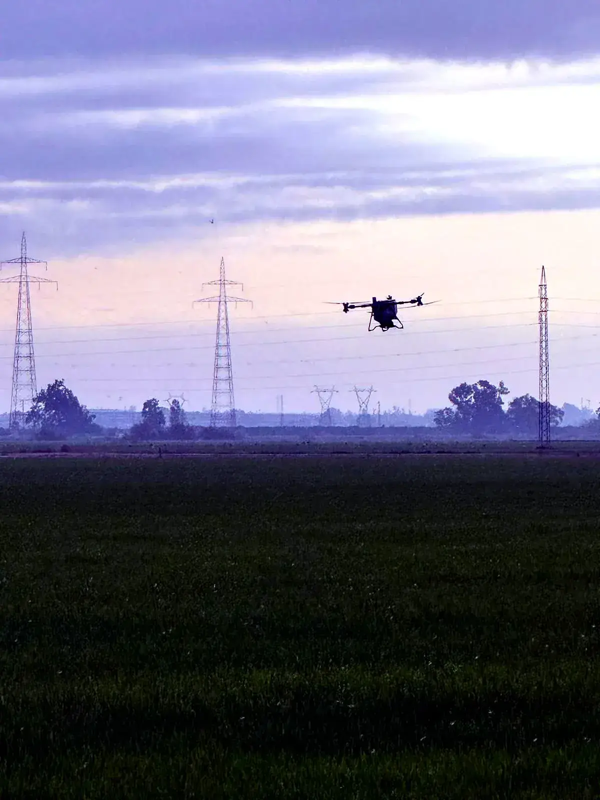 Tratamiento fitosanitario aplicado con dron agrícola