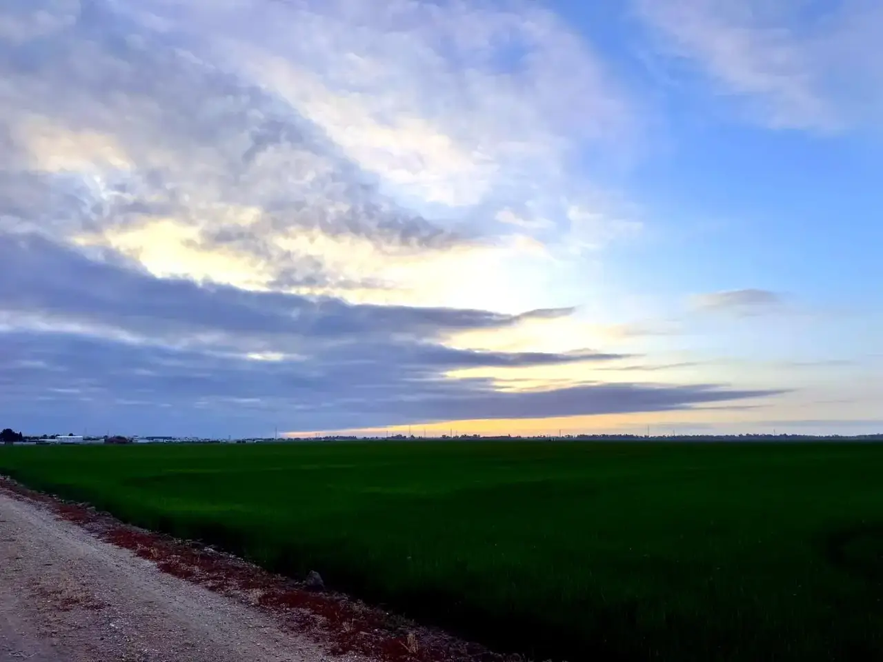 Vista general de un cultivo durante una jornada de fumigación con dron