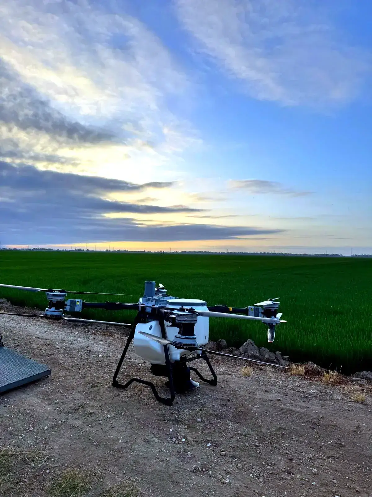 Despegue de un dron agrícola de pulverización al amanecer